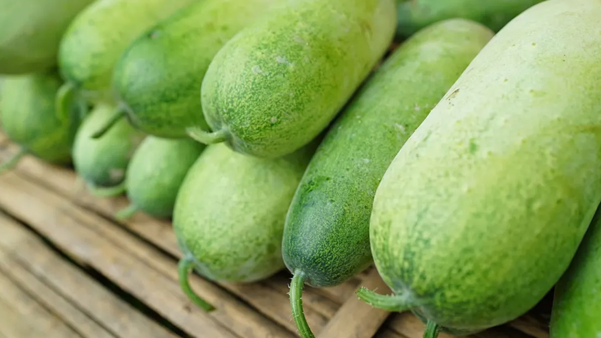 How To Make Ash Gourd Juice At Home To Boost Your Urinary Health