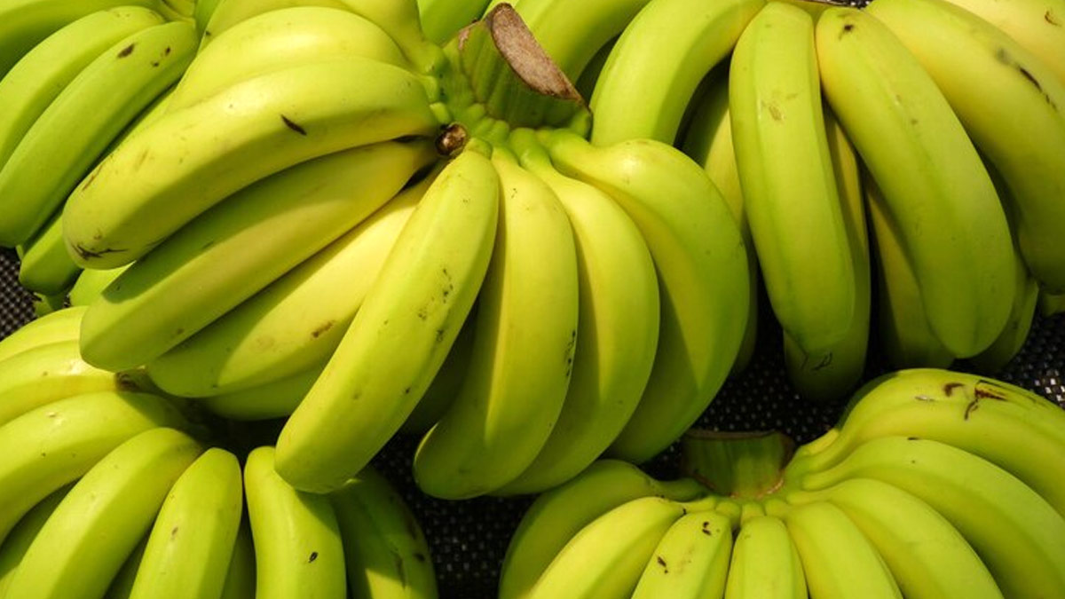 green-banana-vs-yellow-banana-what-s-a-healthier-choice-for-you