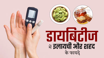 डायबिटीज के मरीज ऐसे करें इलायची और शहद का सेवन, कंट्रोल में रहेगा ब्लड शुगर