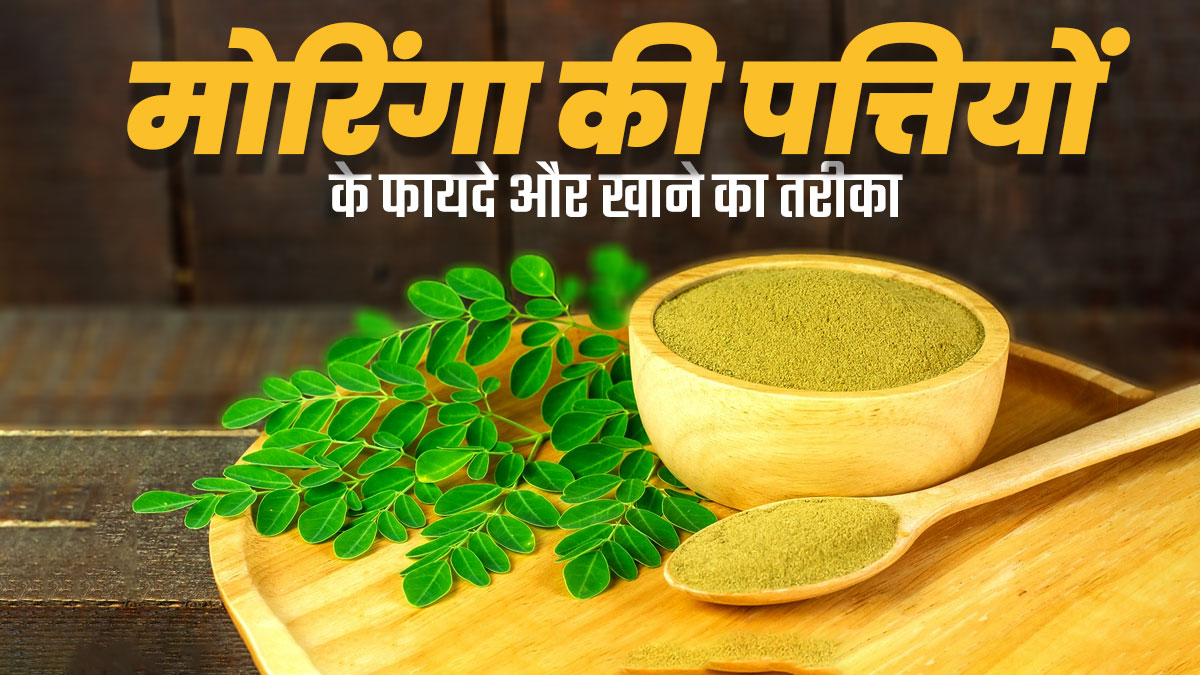 सेहत के लिए वरदान हैं मोरिंगा के पत्ते, जानें डाइट में शामिल करने का तरीका और फायदे