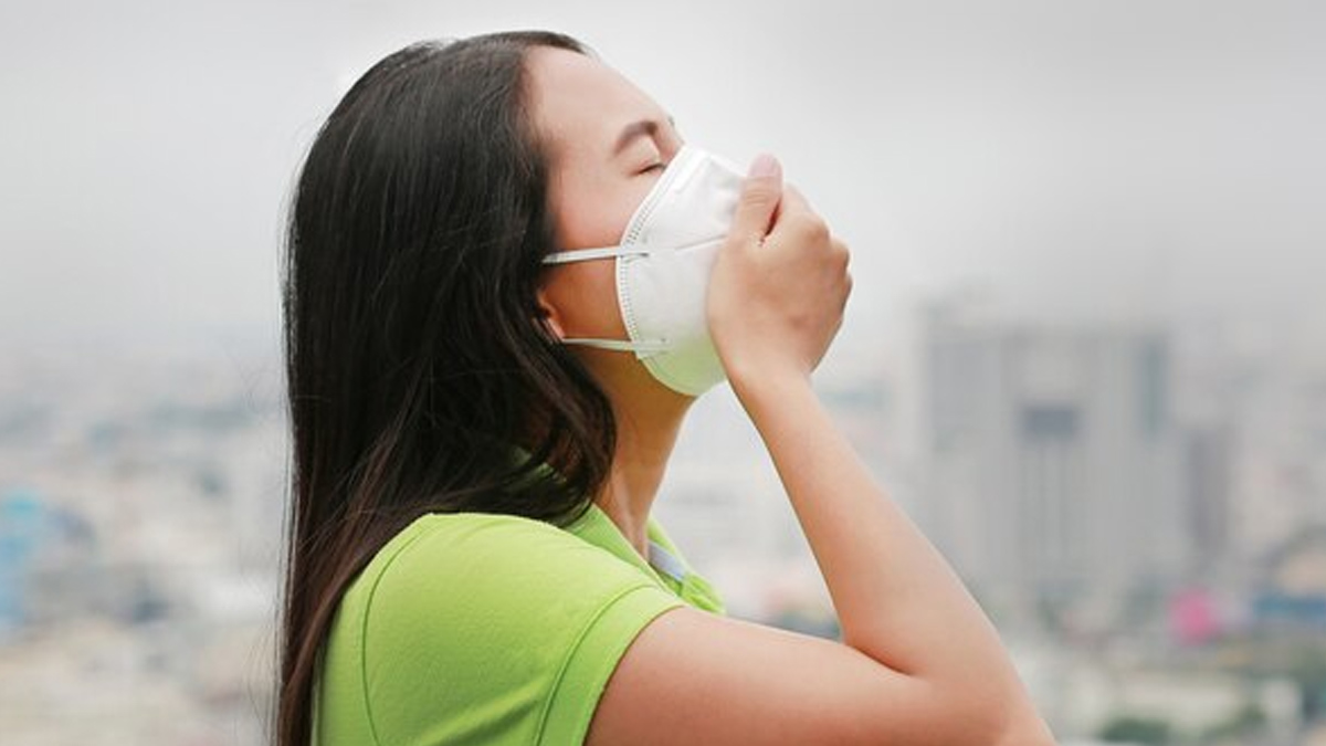 As Heavy Fog Engulfs North India, Expert Shares How It Can Trigger Asthma