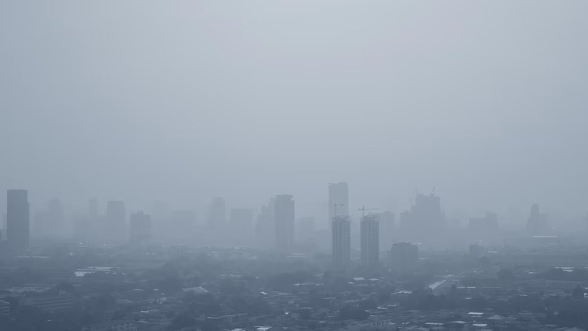 As Heavy Fog Engulfs North India, Expert Shares How It Can Trigger Asthma