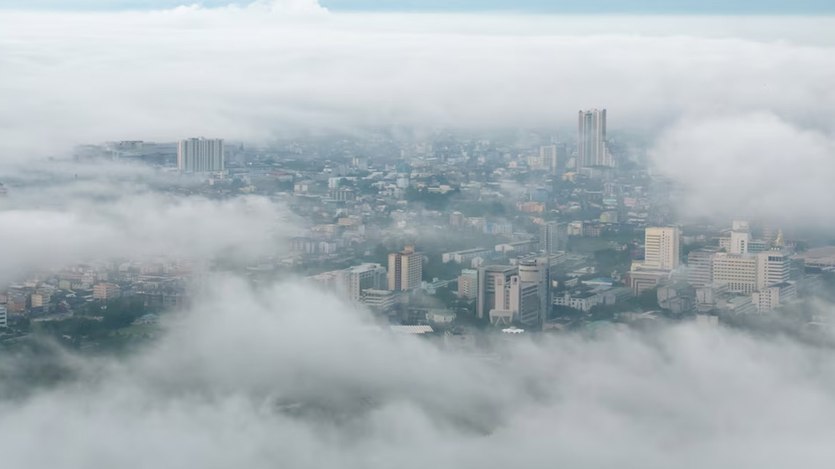 As Heavy Fog Engulfs North India, Expert Shares How It Can Trigger Asthma
