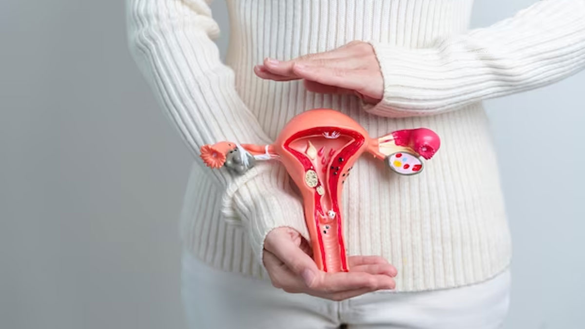 fallopian tube affect women fertility