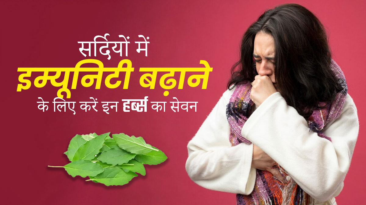 सर्दियों में इम्यूनिटी बढ़ाने के लिए करें इन हर्ब्स का सेवन, मौसमी बीमारियों से होगा बचाव 