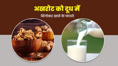 रातभर दूध में भिगोकर रखें अखरोट, सुबह खाने से सेहत को मिलेंगे ये 5 फायदे