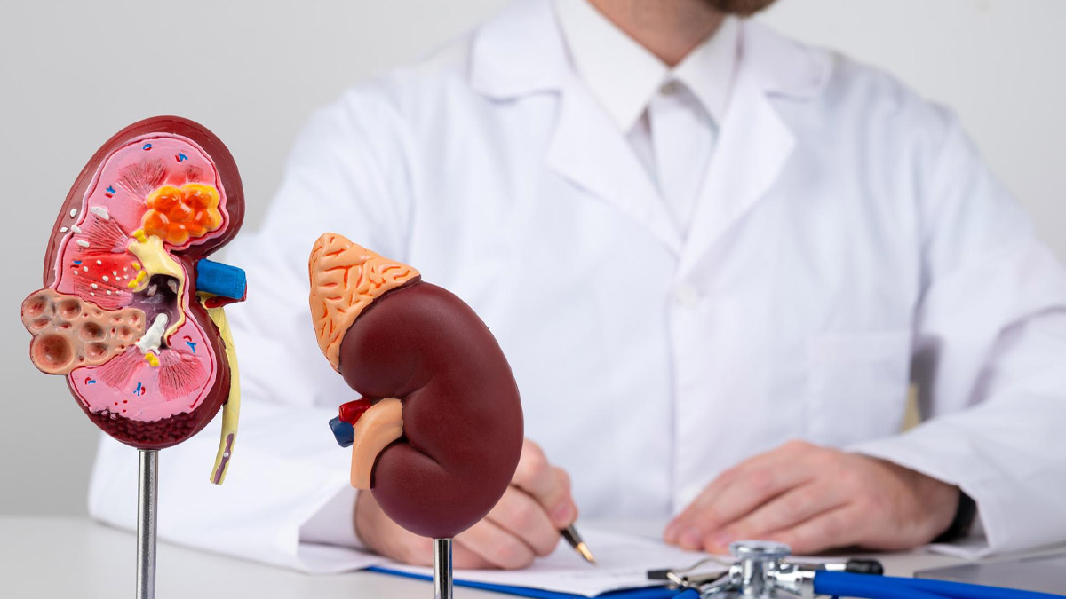 Its is Possible to Live Without Kidneys