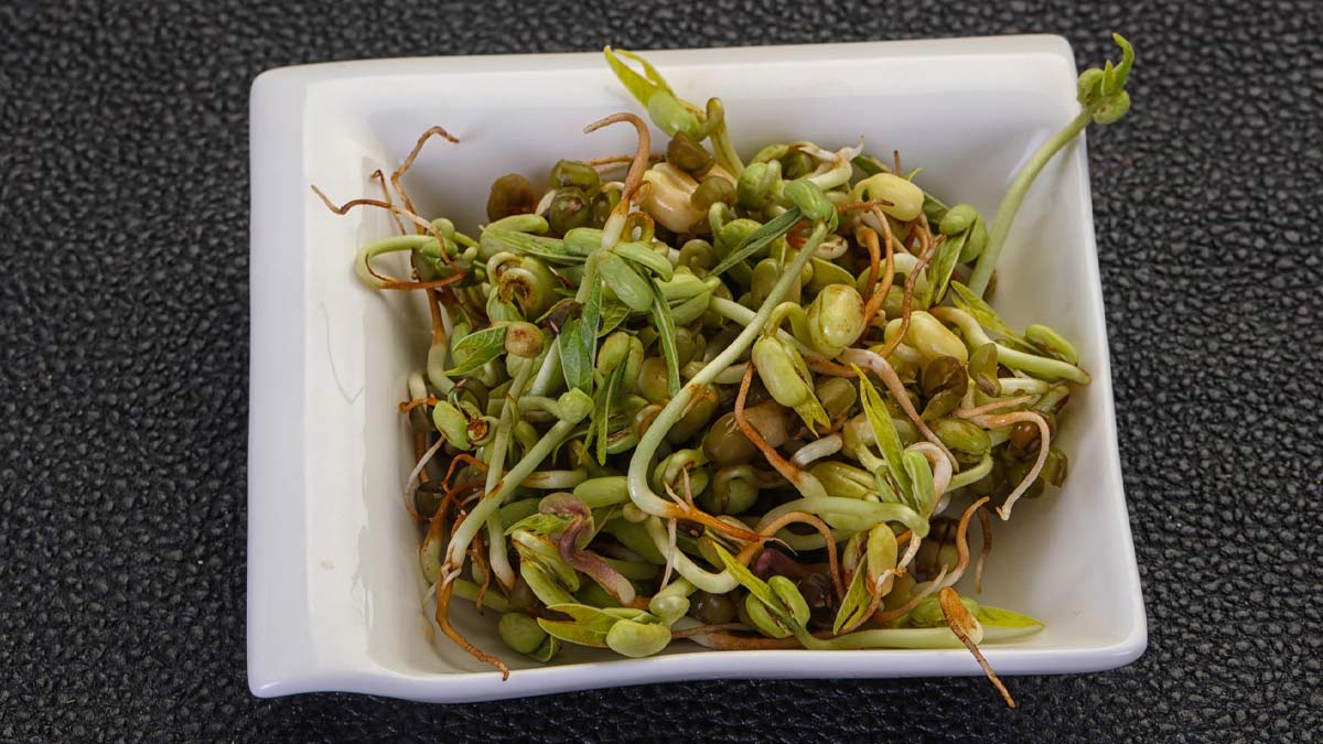 SPROUT