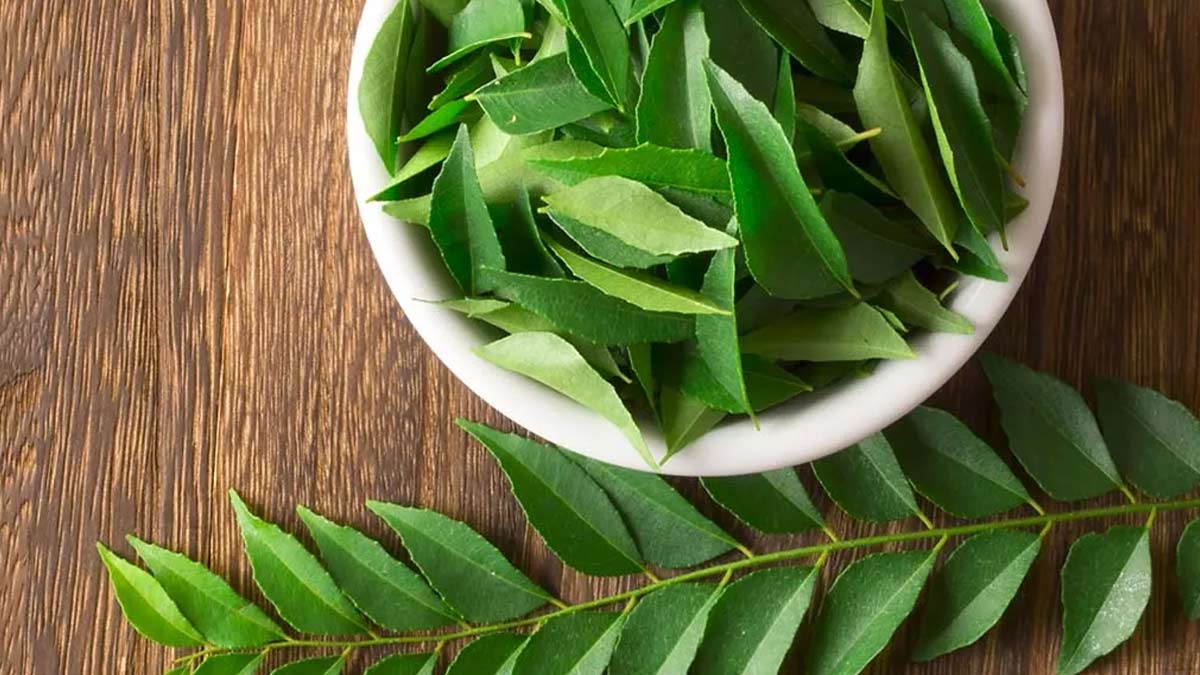 Curry Leaves for Constipation in Hindi