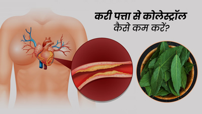 कोलेस्ट्रॉल कम करने के लिए इस तरह करें करी पत्ता का प्रयोग, कम होगा हाई बीपी और हृदय रोगों का जोखिम