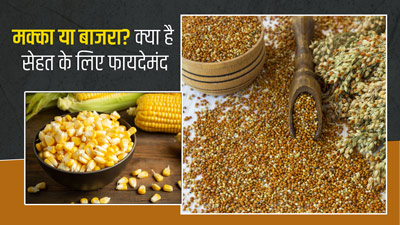 मक्का या बाजरा सेहत के लिए कौन सा है ज्यादा फायदेमंद? जानें दोनों के पोषक तत्व
