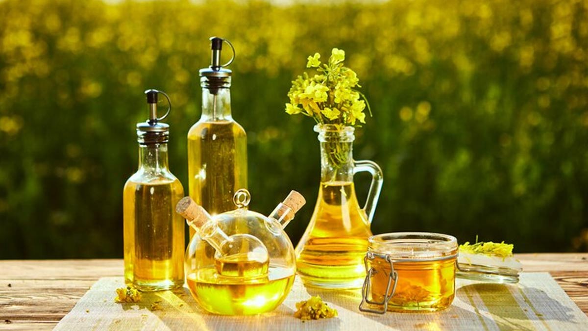 Health Benefits And Side Effects Of Canola Oil For Cooking