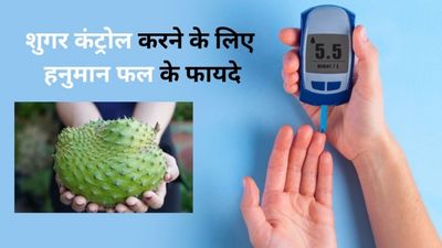 डायबिटीज के मरीज करें हनुमान फल का सेवन, तेजी से कम होगा ब्लड शुगर