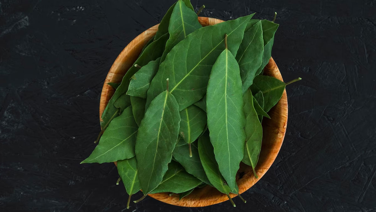 Curry Leaves Benefits For Diabetes