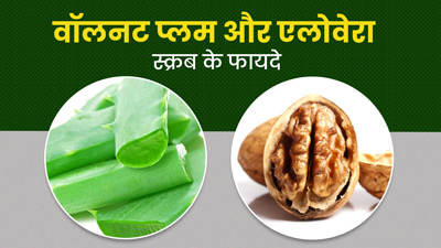 चेहरे पर लगाएं वॉलनट प्लम और एलोवेरा से बना होममेड स्क्रब, ब्लैकहेड्स से मिलेगा छुटकारा