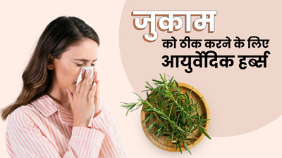 सर्दी-जुकाम होने पर करें इन 5 आयुर्वेदिक जड़ी-बूटियों का सेवन, मिलेगा आराम