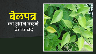 Maha Shivratri 2023: इन 5 तरीकों से करें बेलपत्र का सेवन, सेहत को मिलेंगे ढेर सारे फायदे