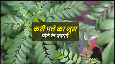 करी पत्ते का जूस पीने से मिलते हैं ये 5 फायदे, जानें बनाने का तरीका
