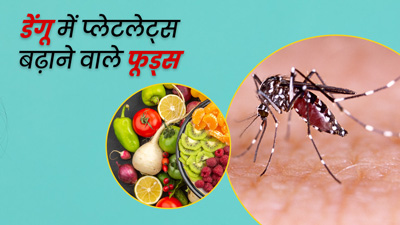 Foods to Increase Platelet Count: डेंगू के मरीज डाइट में शामिल करें ये 5 फूड्स, तेजी से बढ़ेगा प्लेटलेट काउंट