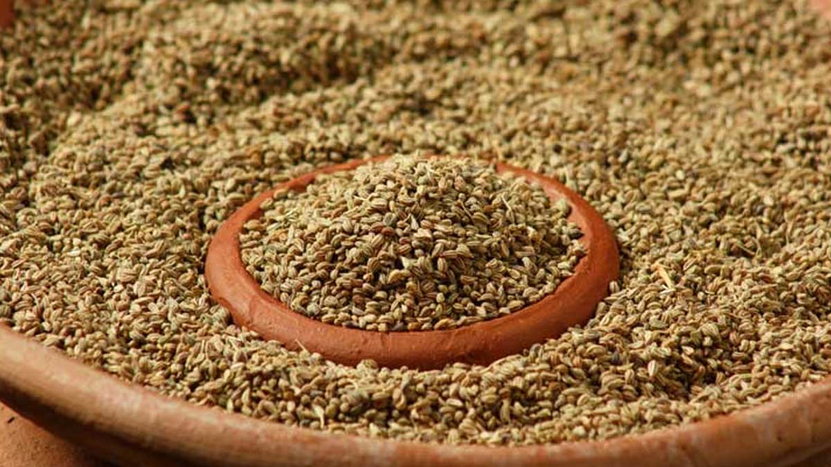 रात को अजवाइन कैसे खाएं? जानें 5 तरीके जिनसे दूर होगी कई समस्याएं how