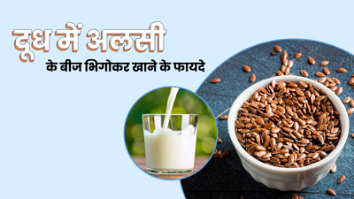 दूध में भीगे अलसी के बीज खाने से सेहत को मिलेंगे ये 5 फायदे, जानें सेवन का सही तरीका