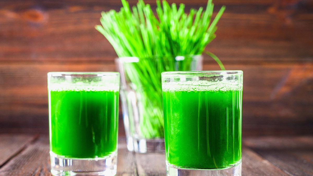 Wheatgrass Juice Benefits For Diabetes In Hindi