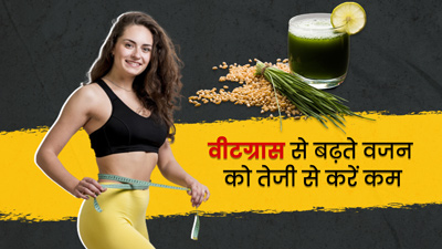 वजन कम करने में मदद कर सकता है व्हीटग्रास, जानें सेवन का तरीका