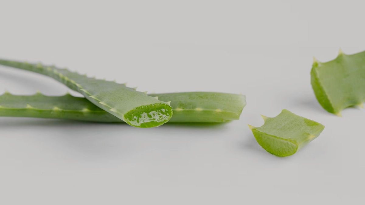 Aloevera-Cleanup-Kaise-Kare