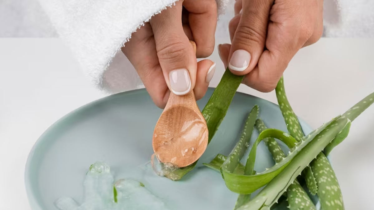 aloe vera benefits 