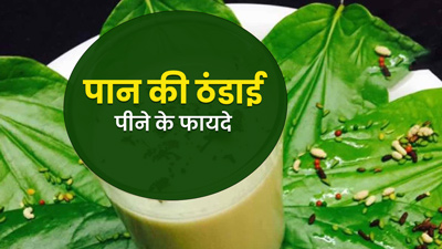 Mahashivratri 2024: शिवरात्रि के मौके पर पान की ठंडाई पीने से मिलेंगे कई फायदे, जानें बनाने का तरीका