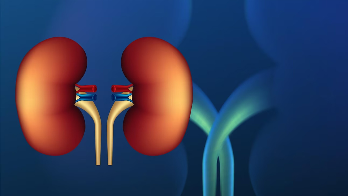 Bladder Cancer Early Stage Signs