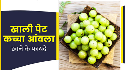 Amla Khane ke Fayde: खाली पेट आंवला खाने से मिलेंगे ये 5 फायदे, जानें सेवन का तरीका