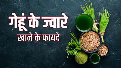 गेहूं के ज्वारे खाने से सेहत को मिलते हैं ये 5 फायदे