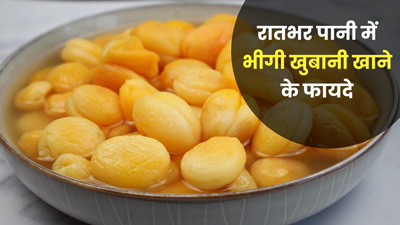 रातभर पानी में भीगी खुबानी खाने से सेहत को मिलेंगे 5 जबरदस्त फायदे