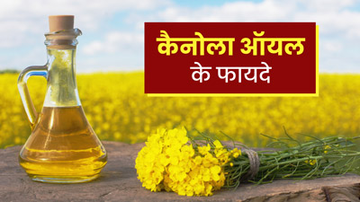 कैनोला ऑयल के इस्तेमाल से सेहत को मिलते हैं ये 5 फायदे