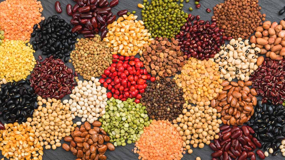 dal