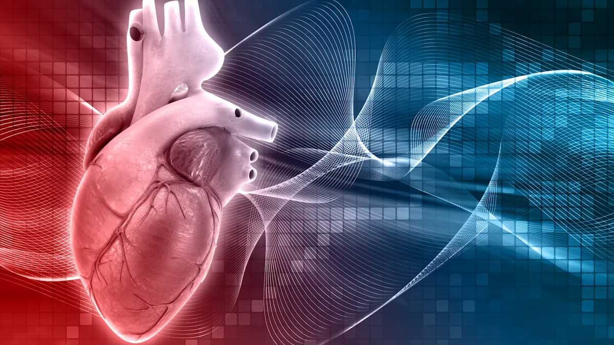 How To Prevent Heart Muscle Weakness