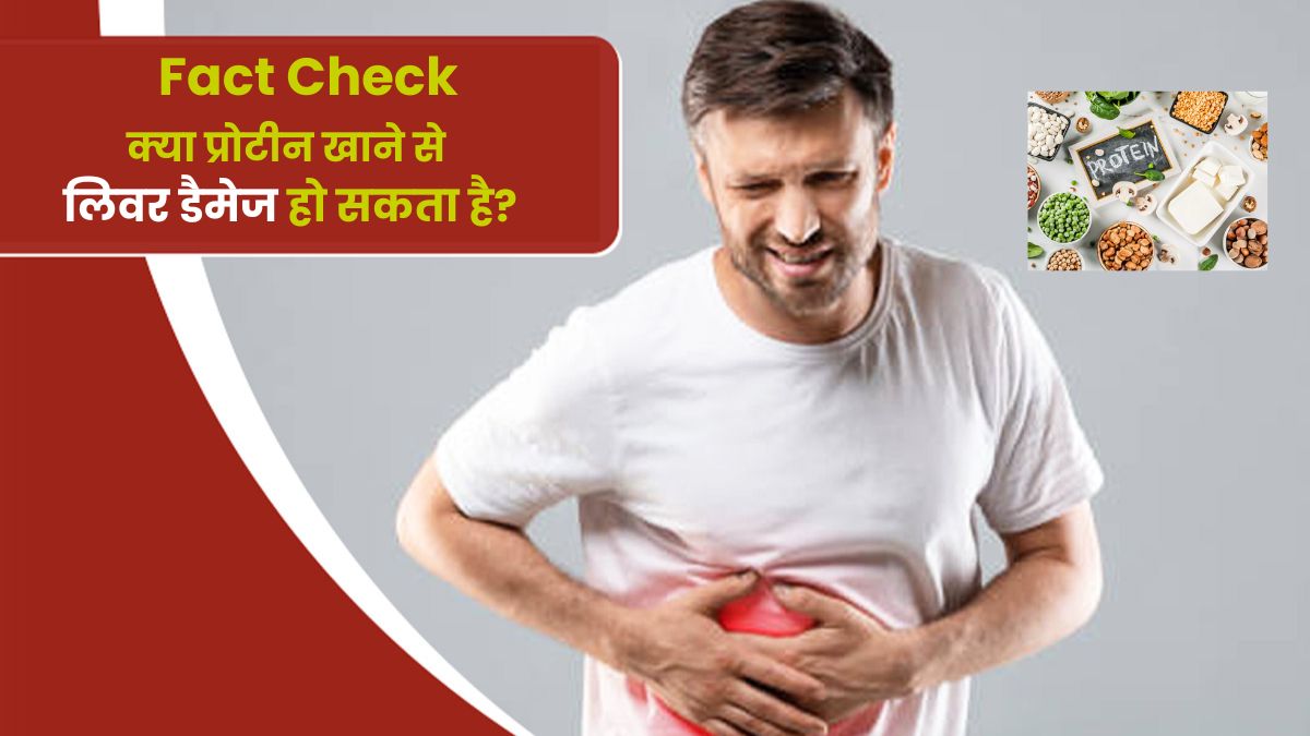 fact-check-can-protein-cause-liver-damage-in-hindi