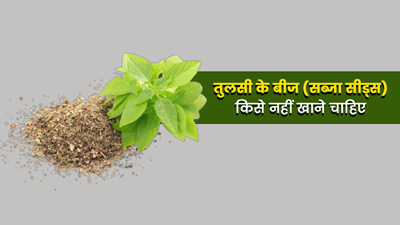 किन लोगों को तुलसी के बीज (सब्जा सीड्स) का सेवन नहीं करना चाहिए? जानें इससे होने वाले नुकसान