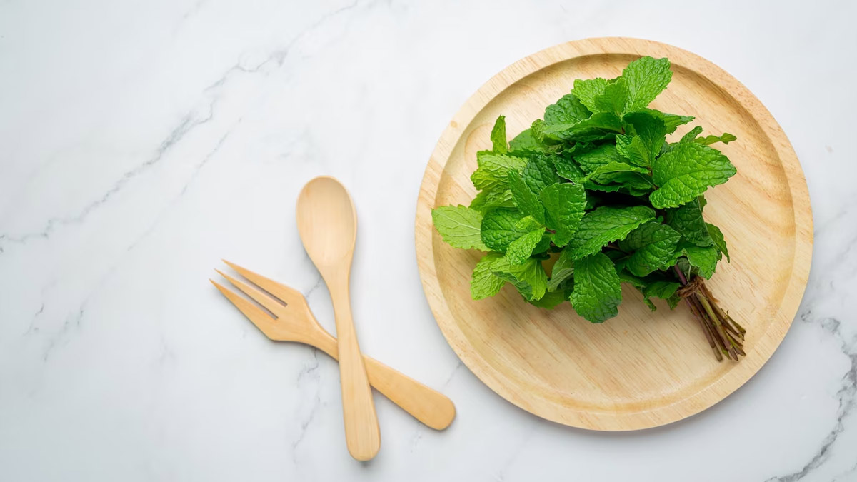 Migraine-Ke-Liye-Ayurvedic-Herbs