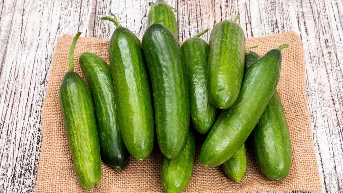 Negative Calorie Foods 5 Negative Calorie Foods 5