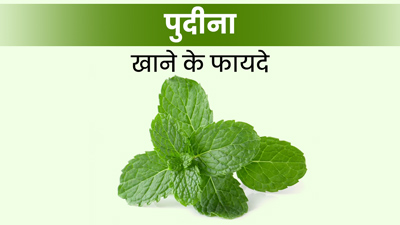 Pudina Benefits: पुदीना खाने से शरीर को मिलते हैं ये 5 बेमिसाल फायदे 