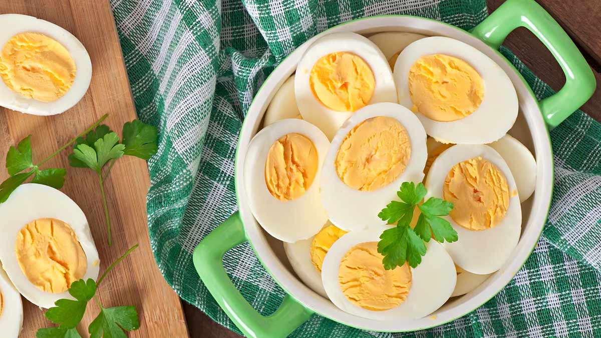 egg