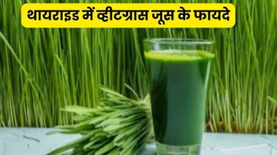 थायराइड रोगियों के लिए बहुत फायदेमंद होता है व्हीटग्रास जूस, जानें सेवन का तरीका
