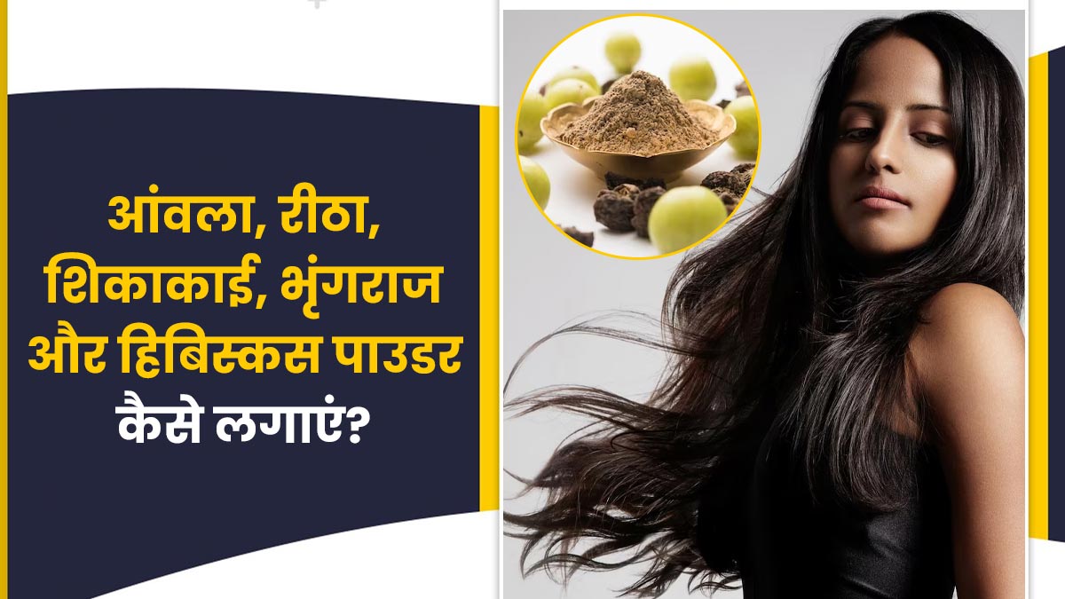आंवला, रीठा, शिकाकाई, भृंगराज और हिबिस्कस पाउडर का उपयोग कैसे करें? | How  To Use Amla Reetha Shikakai Bhringraj Hibiscus Powder For Healthy Hair In  Hindi