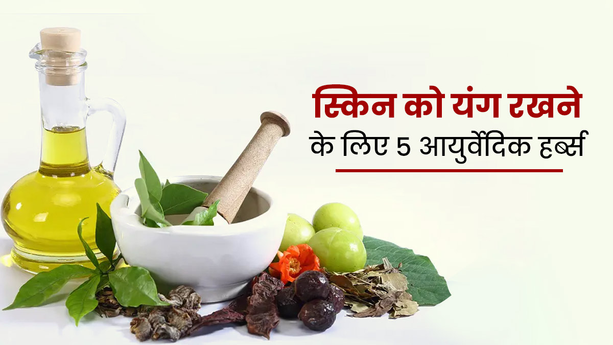स्किन को यंग बनाए रखने में मदद करेंगी ये 5 आयुर्वेदिक हर्ब्स, जानें कैसे करें इस्तेमाल