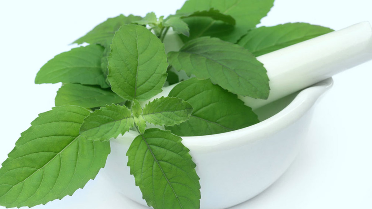 Herbs-For-Younger-Looking-Glowing-Skin