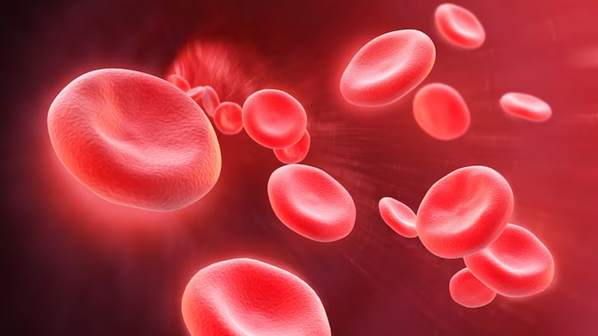 Symptoms That Indicate Blood Clot In Your Body