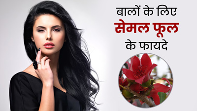 Semal Flower for Hair: बालों के लिए काफी फायदेमंद होते हैं सेमल के फूल, जानें इस्तेमाल का तरीका