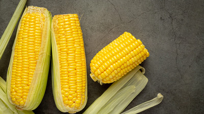 इन 5 लोगों को नहीं करना चाहिए भुट्टे का ज्यादा सेवन, होते हैं ये नुकसान